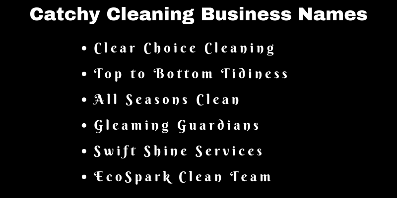 Cleaning Business Names