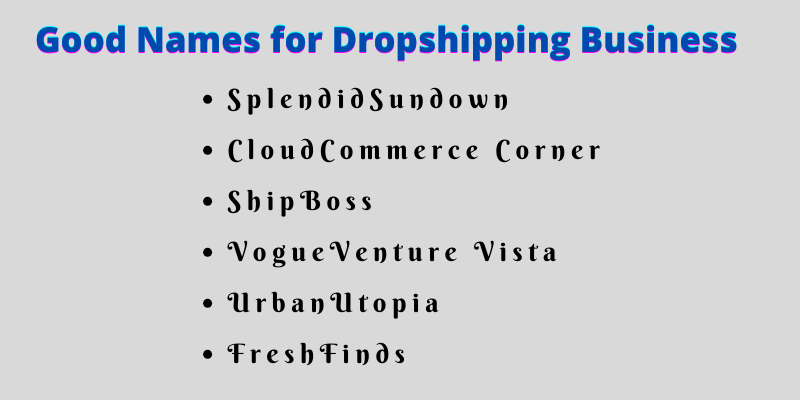 Good Names for Dropshipping Business