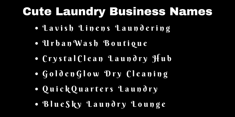 Laundry Business Names