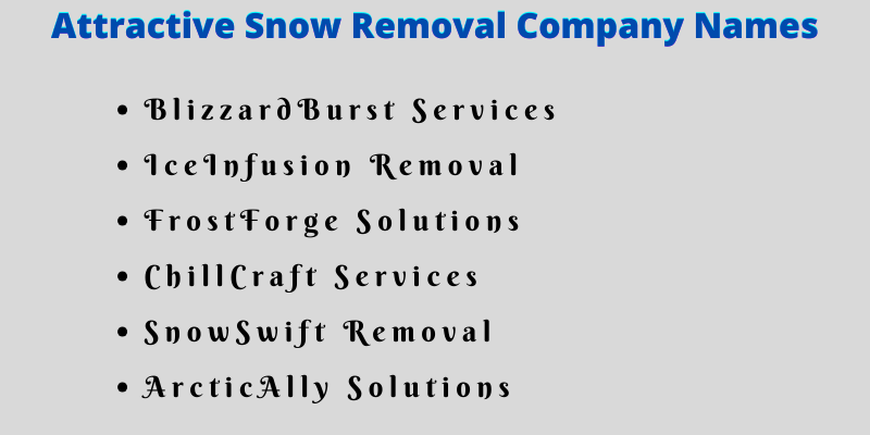 Snow Removal Company Names