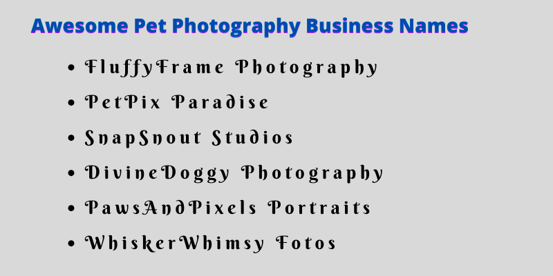 Pet Photography Business Names