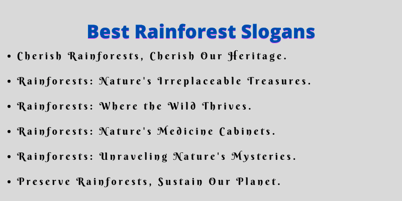 Best Rainforest Slogans