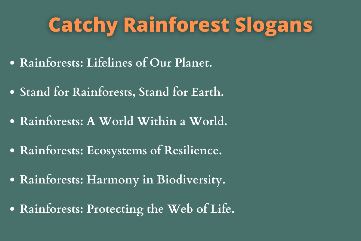 Catchy Rainforest Slogans