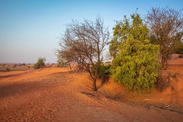 Slogans On Soil Conservation Ideas