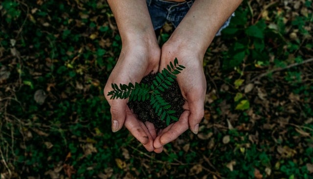 Slogan On Save Earth