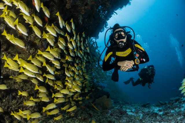 Scuba Diving Slogans