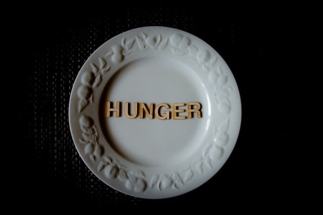 Hunger Slogans