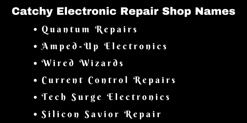 Electronic Repair Shop Names
