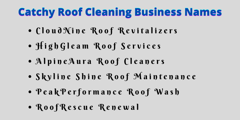 Roof Cleaning Business Names