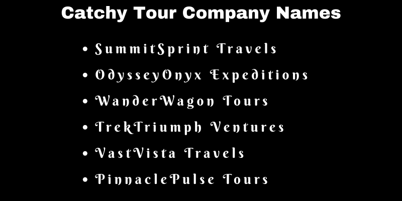 good names for my tour company