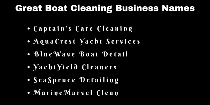 Boat Cleaning Business Names