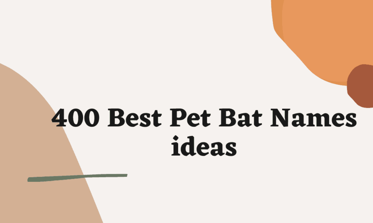 Bat Names - Pet Names - Nameberry