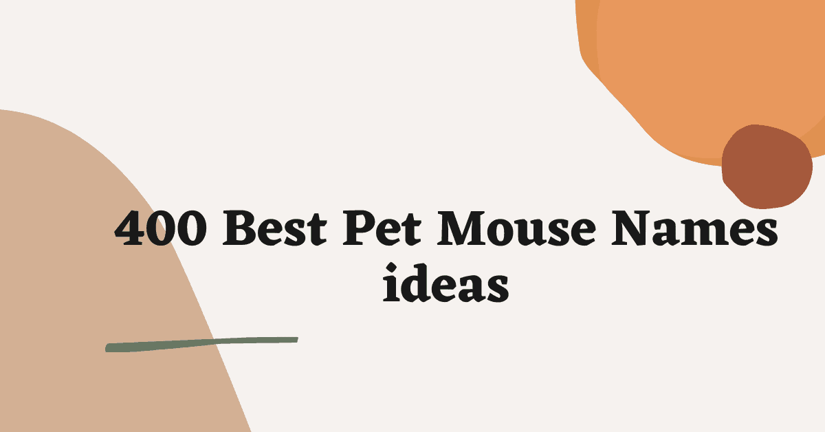 Pet Mouse Names