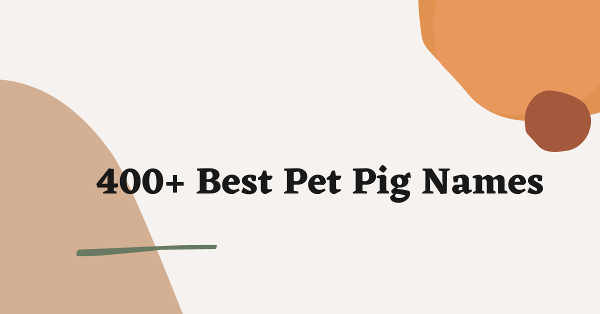 Pet Pig Names Ideas
