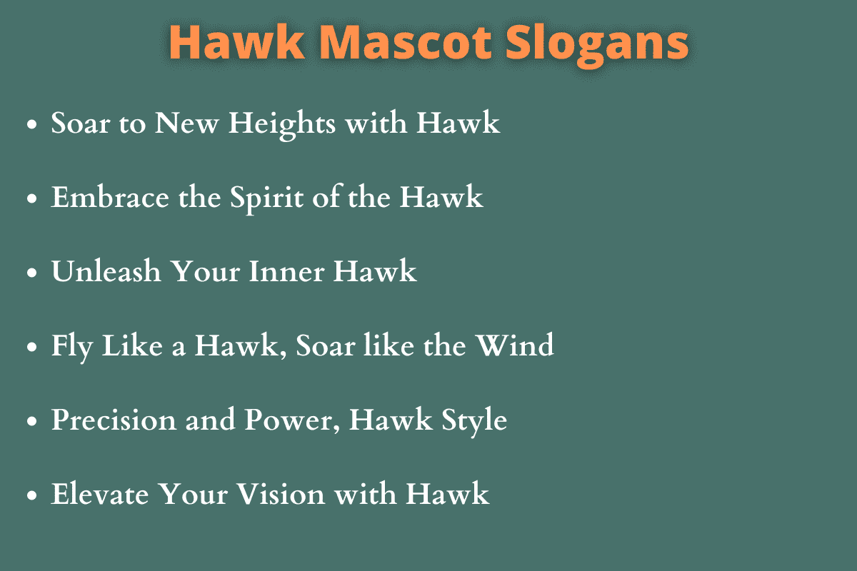 Hawk Mascot Slogans