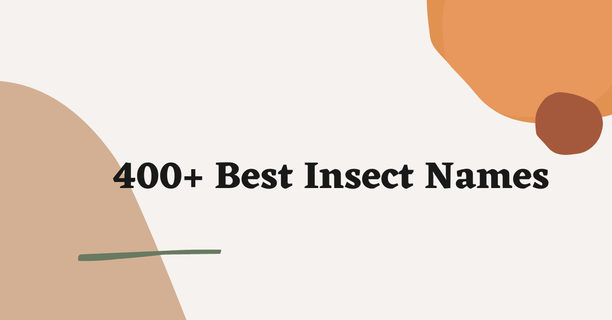 Insect Names Ideas