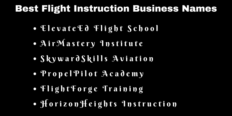 Flight Instruction Business Names