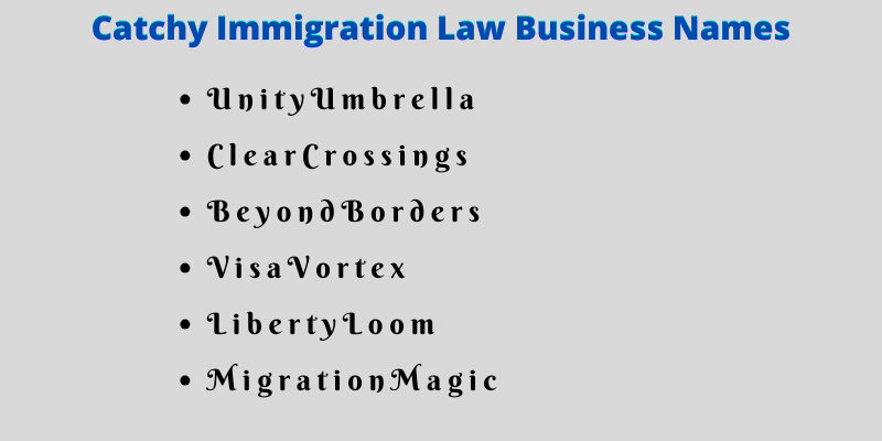 Immigration Law Business Names