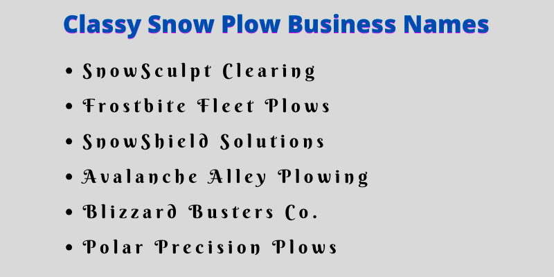 Snow Plow Business Names