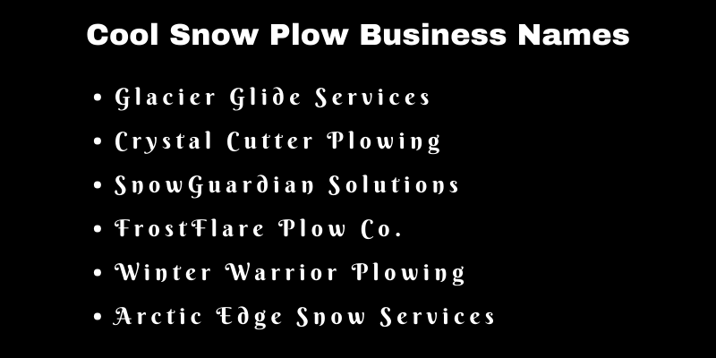 Snow Plow Business Names