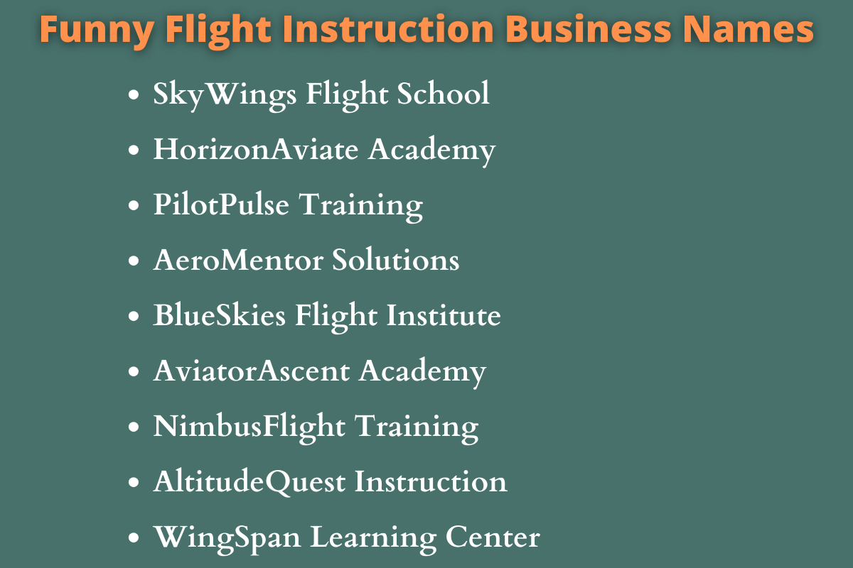 Flight Instruction Business Names