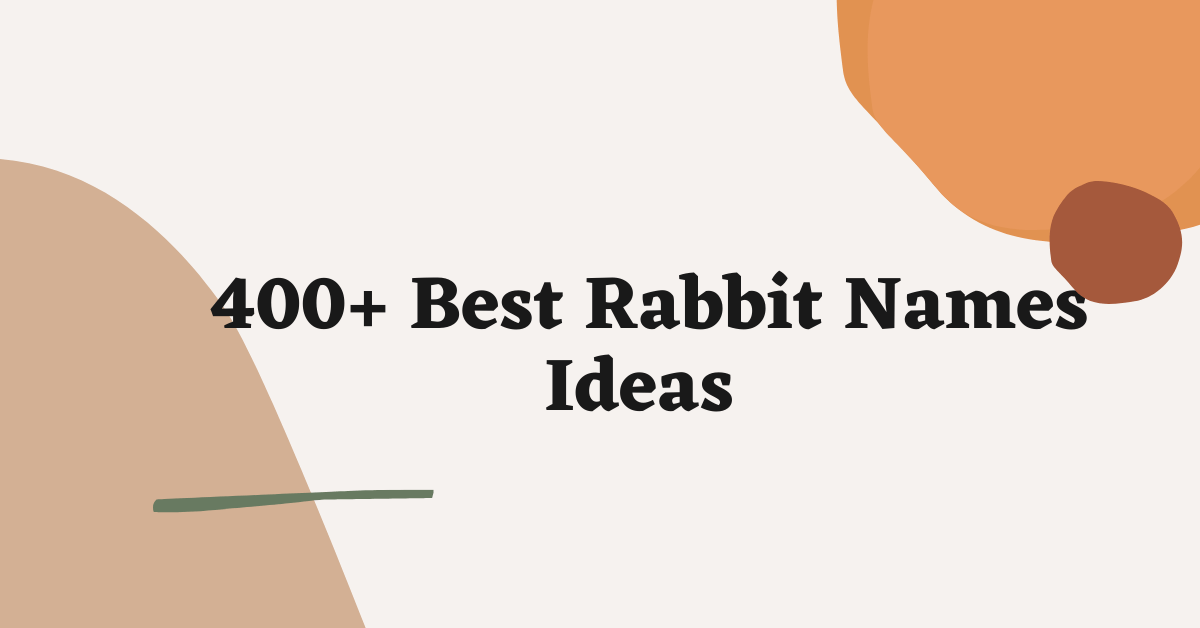 Rabbit Names Ideas