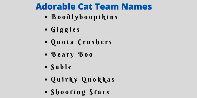750 Cat Team Names Ideas and Suggestions