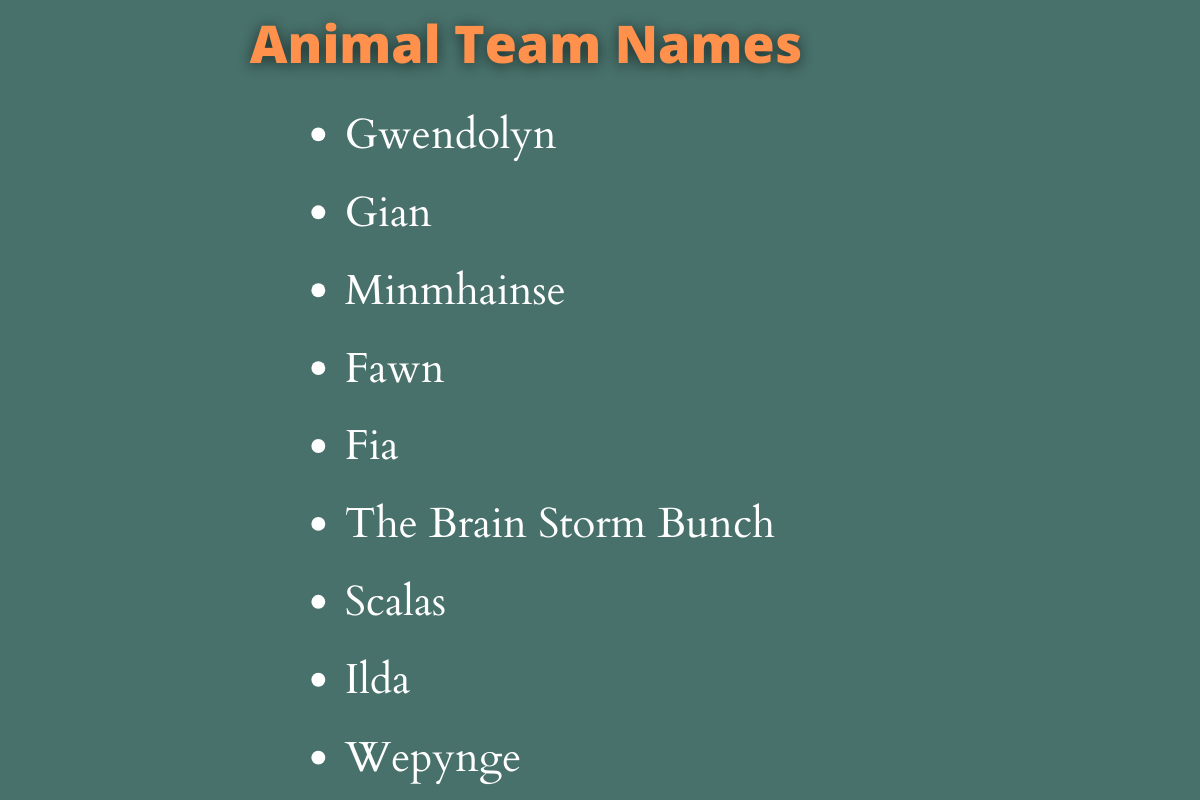 Animal Team Names