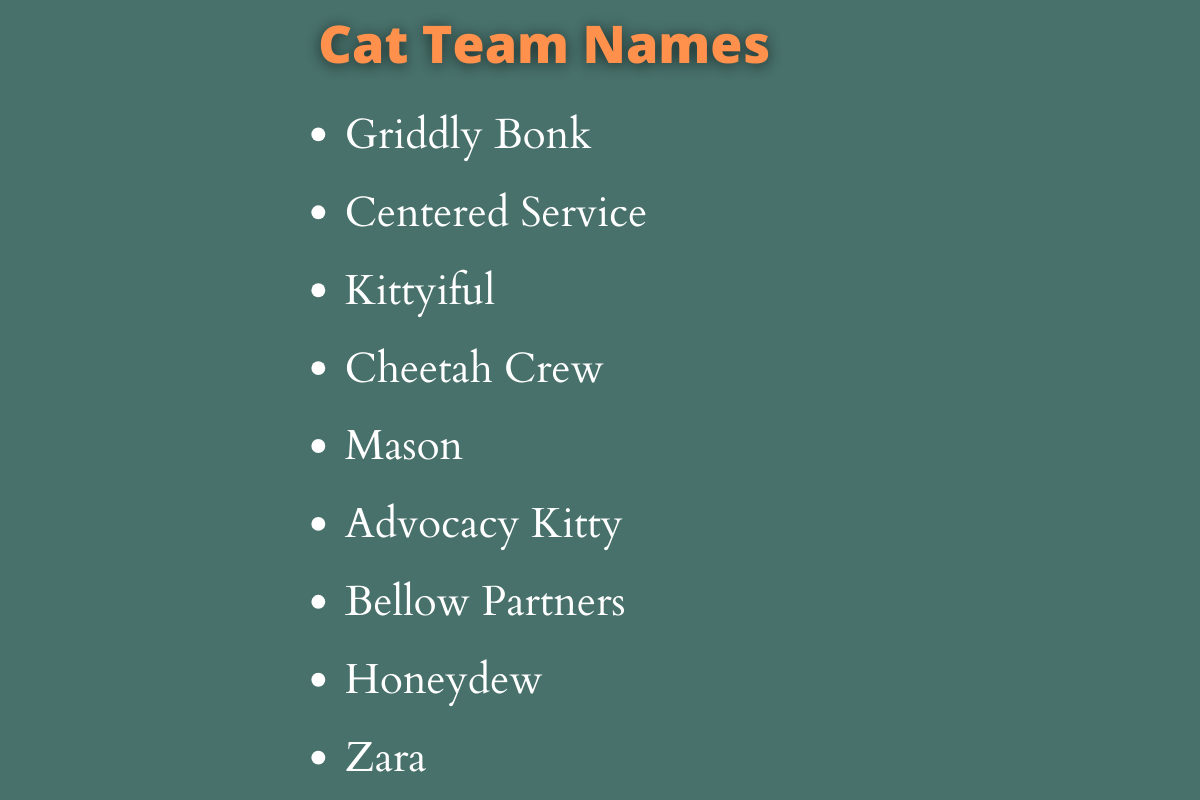 Cat Team Names