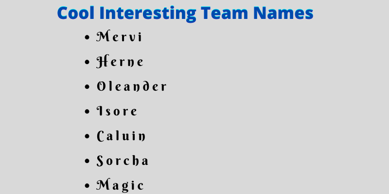 Interesting Team Names
