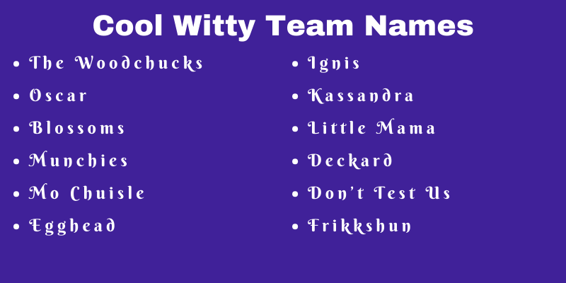 750 Cool Witty Team Names Ideas and Suggestions