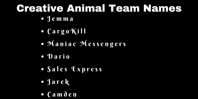 750 Cool Animal Team Names Ideas and Suggestions