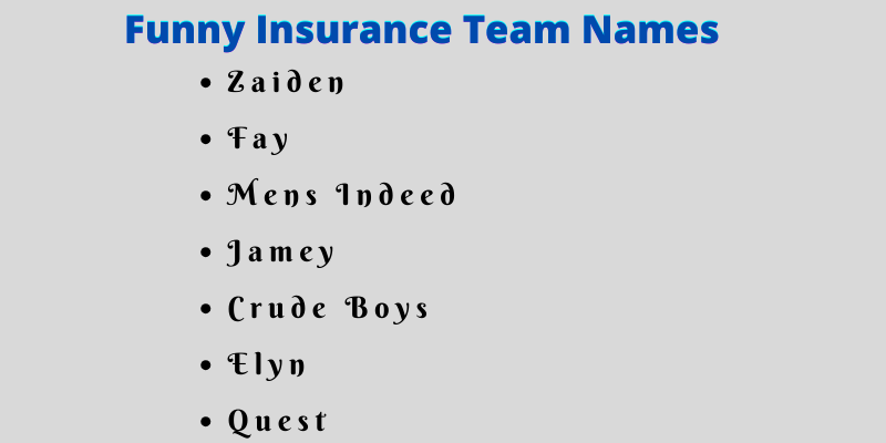 Insurance Team Names