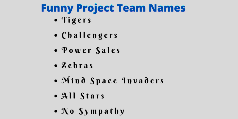 Project Team Names