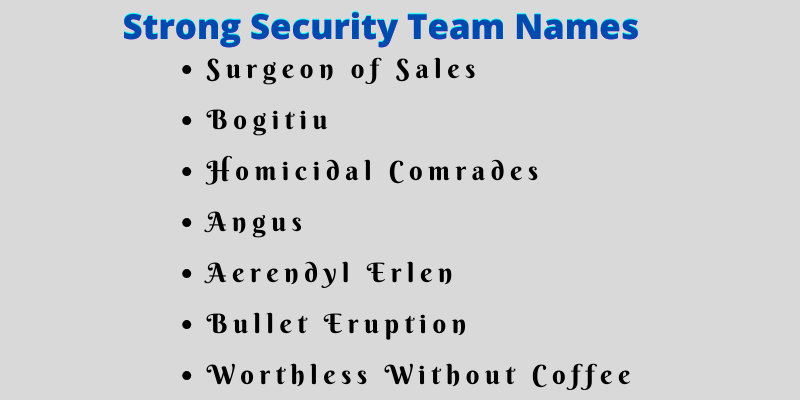 Security Team Names