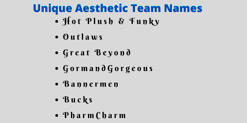 _Aesthetic Team Names
