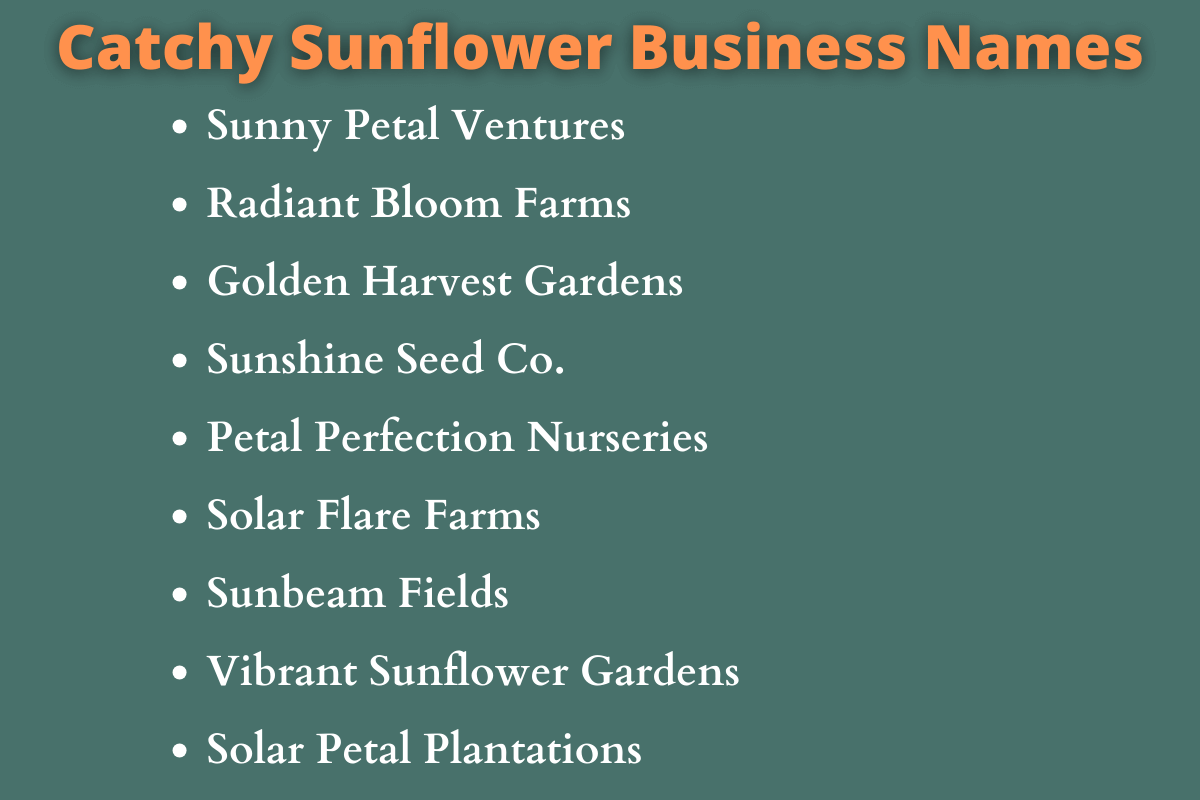 Sunflower Business Names