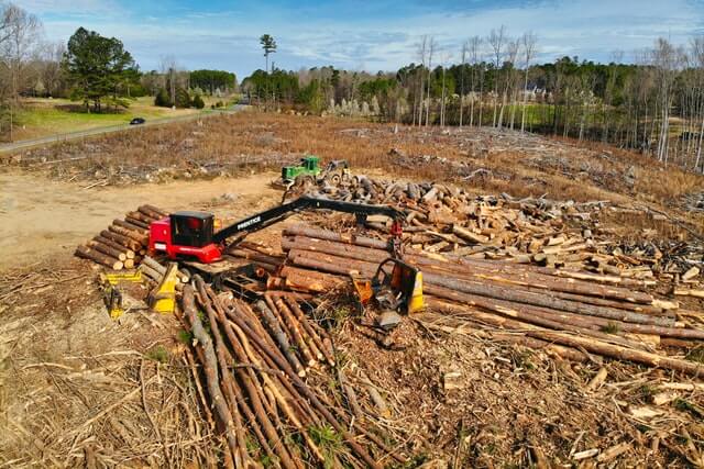 Logging Company Names Ideas