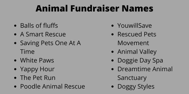 Animal Fundraiser Names