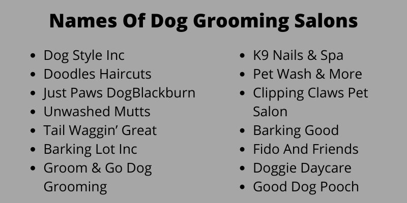 Names Of Dog Grooming Salons