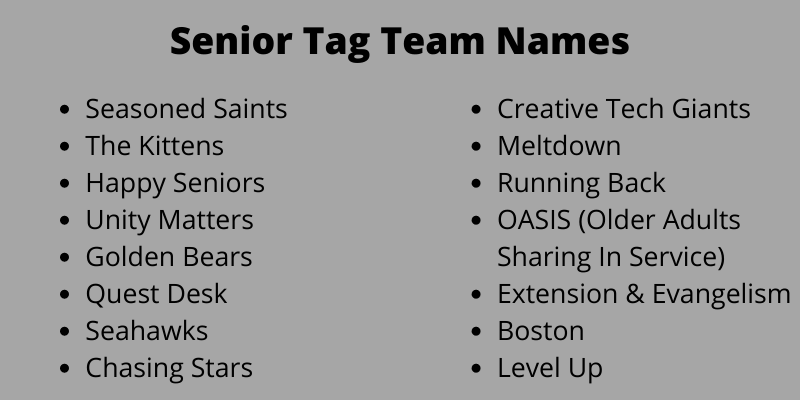 Senior Tag Team Names
