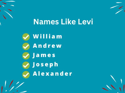 Names Like Levi