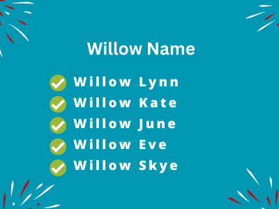 Willow Name