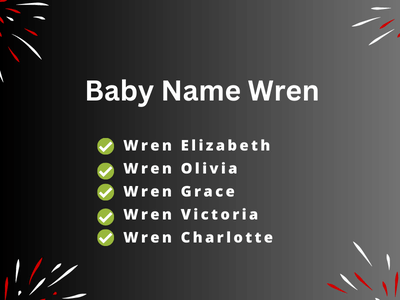 Baby Name WrenBaby Name Wren