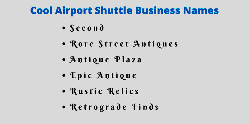 Airport Shuttle Business Names