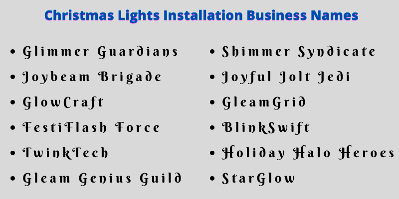 Christmas Lights Installation Business Names