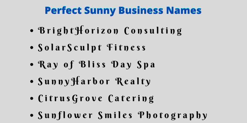 Sunny Business Names