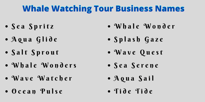 Whale Watching Tour Business Names