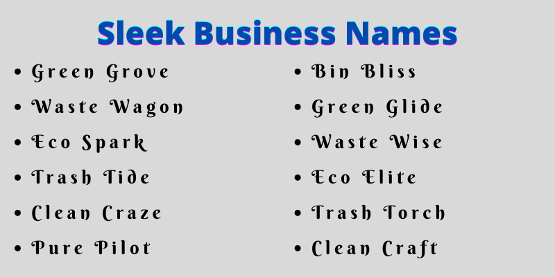 Sleek Business Names