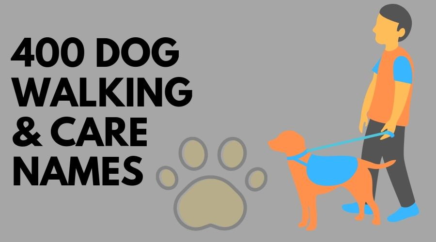 Dog Walking Business Names 400+ Pet Sitting Names